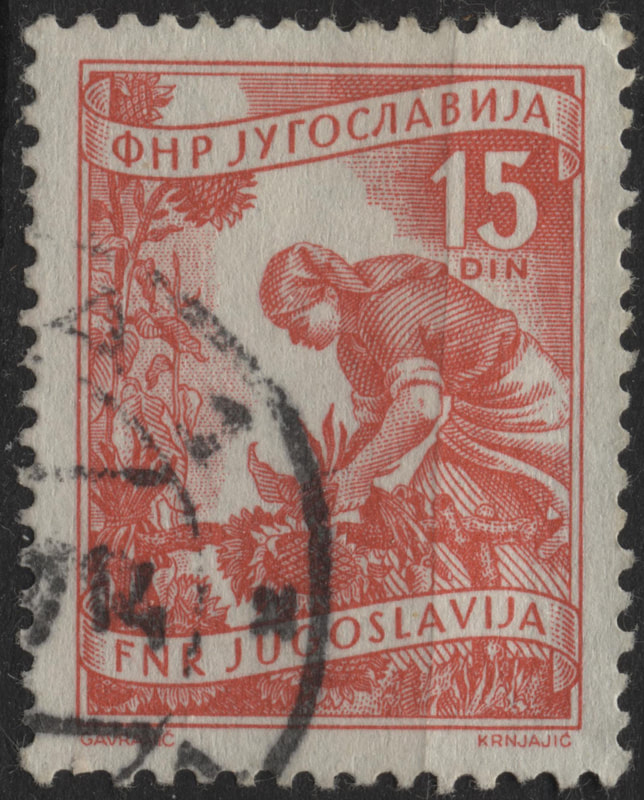 Picture