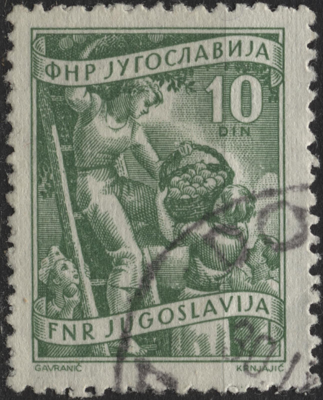 Picture