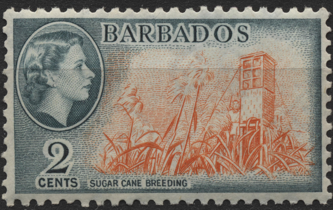 Дам гватемалу и два барбадоса. Барбадос марка. Барбадос марка Почтовая. Марка Гватемала и Барбадоса. Барбадос 1954.